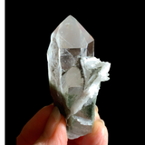 chlorite included point