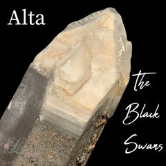 Black Swan Alta