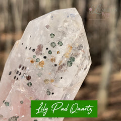 lily pad quartz, clear point with green inclusions