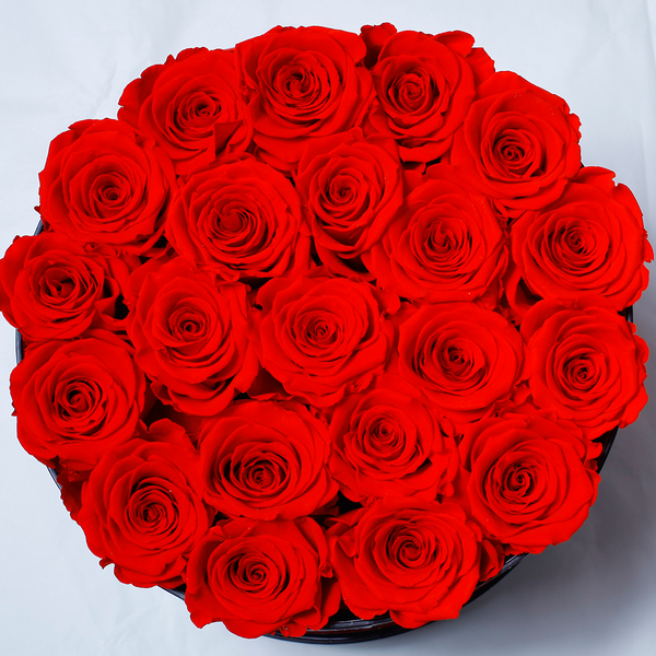 Senza Tempo - Medio - Rose Rosse - Scatola Nera | One Million Roses