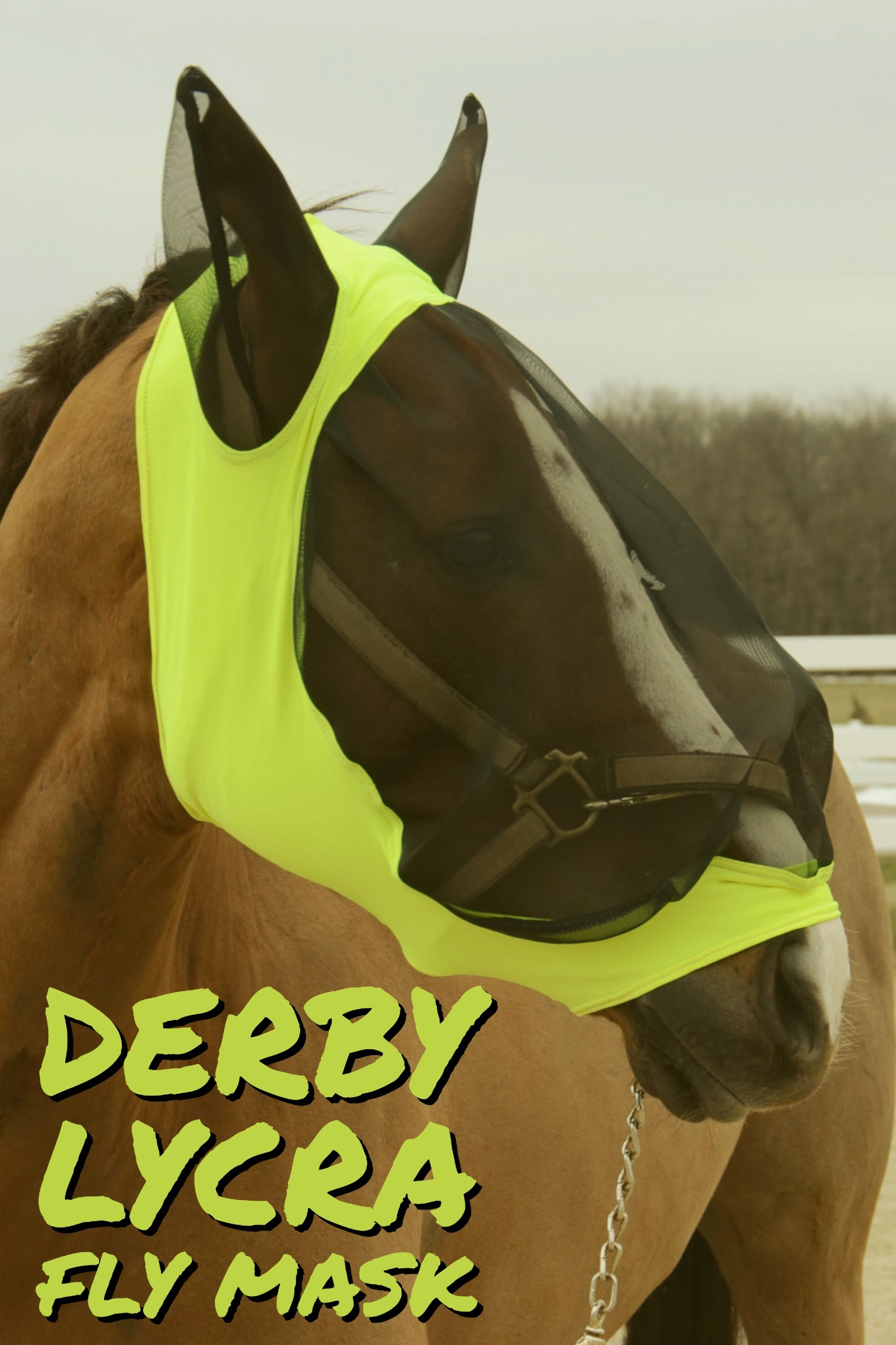 Derby Originals Premium Pair of Removable Universal Elastic Leg Straps for Horse Blankets - Fe