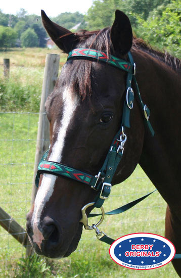 nylon horse tack