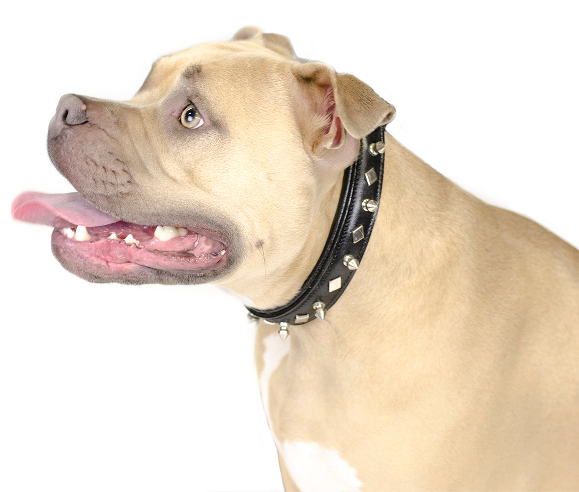 do spiked collars hurt dogs