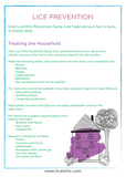 Lice Prevention Instructions