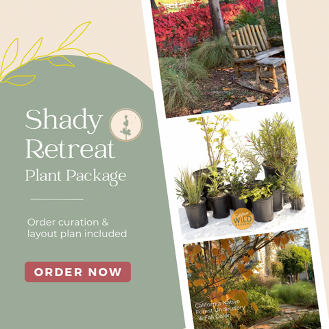 Infographic of Shady Retreat Plant Package and Design Plan