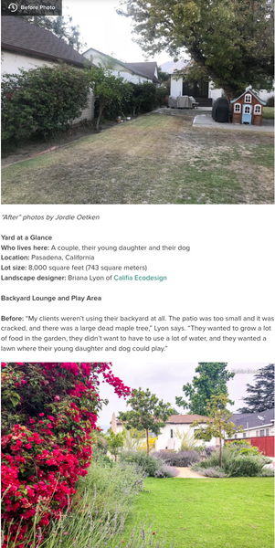 blank slate before and after for this dead Pasadena lawn to drought tolerant dream yard