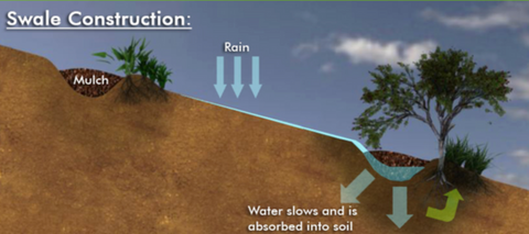 how to build a swale