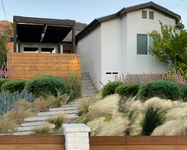 Free contemporary landscape design plan drought tolerant ornamental grasses for California