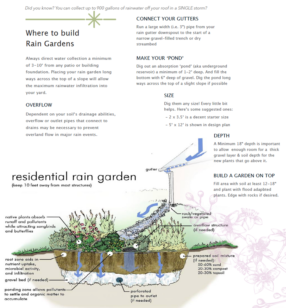 Infographic for how to build a California rain garden that connects to your down spout