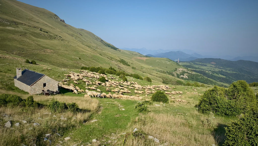 A remote mountain refuge on the side of a hill