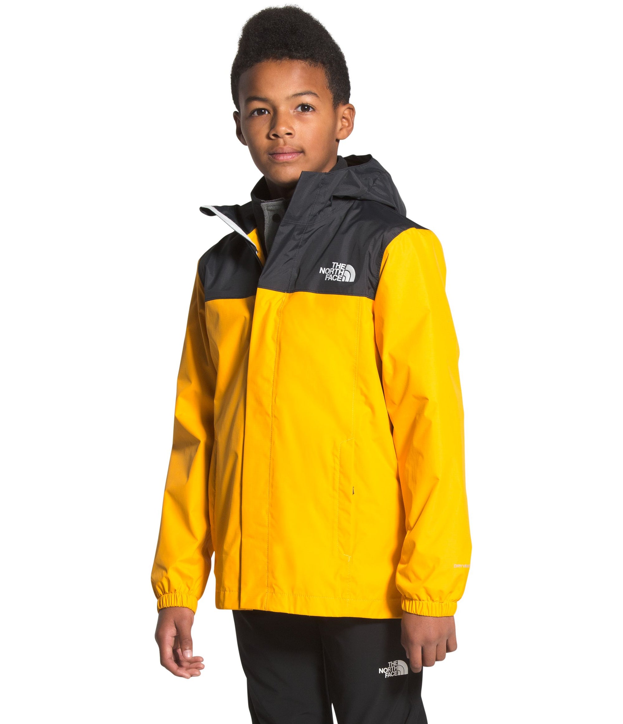 the north face jacket reflective