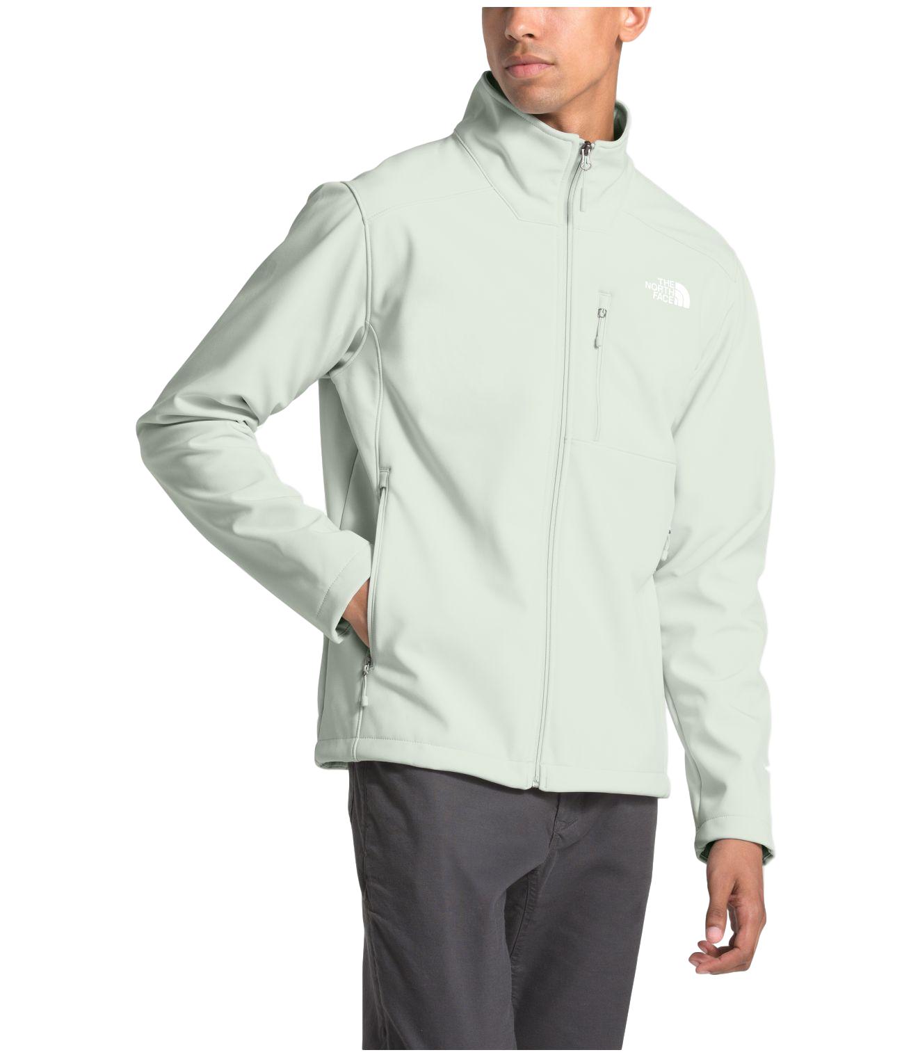 north face apex bionic grey