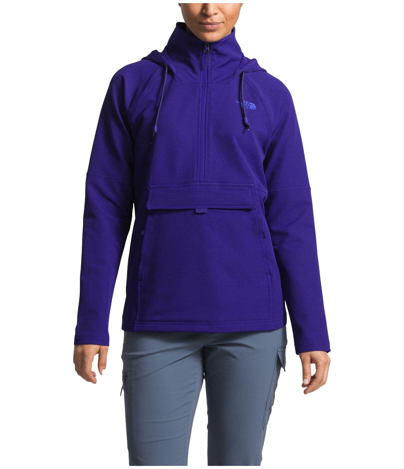 the north face women's tekno ridge hoodie