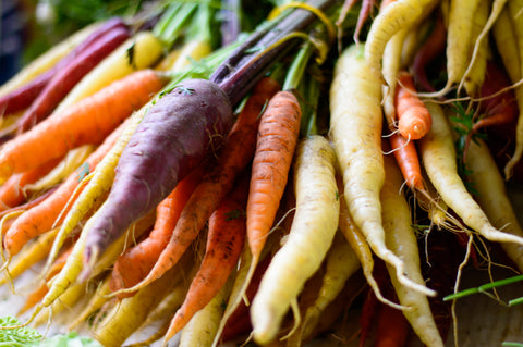 Organic carrots in rich colors recently uprooted from a garden.