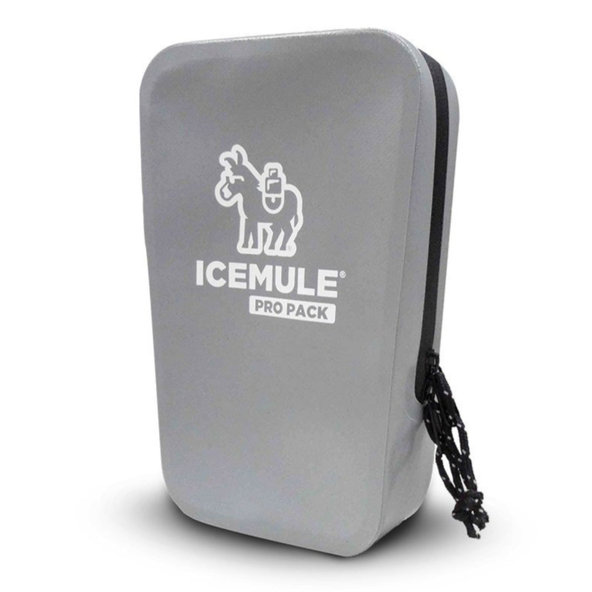 The ICEMULE Pro Pack™ Dry Storage 