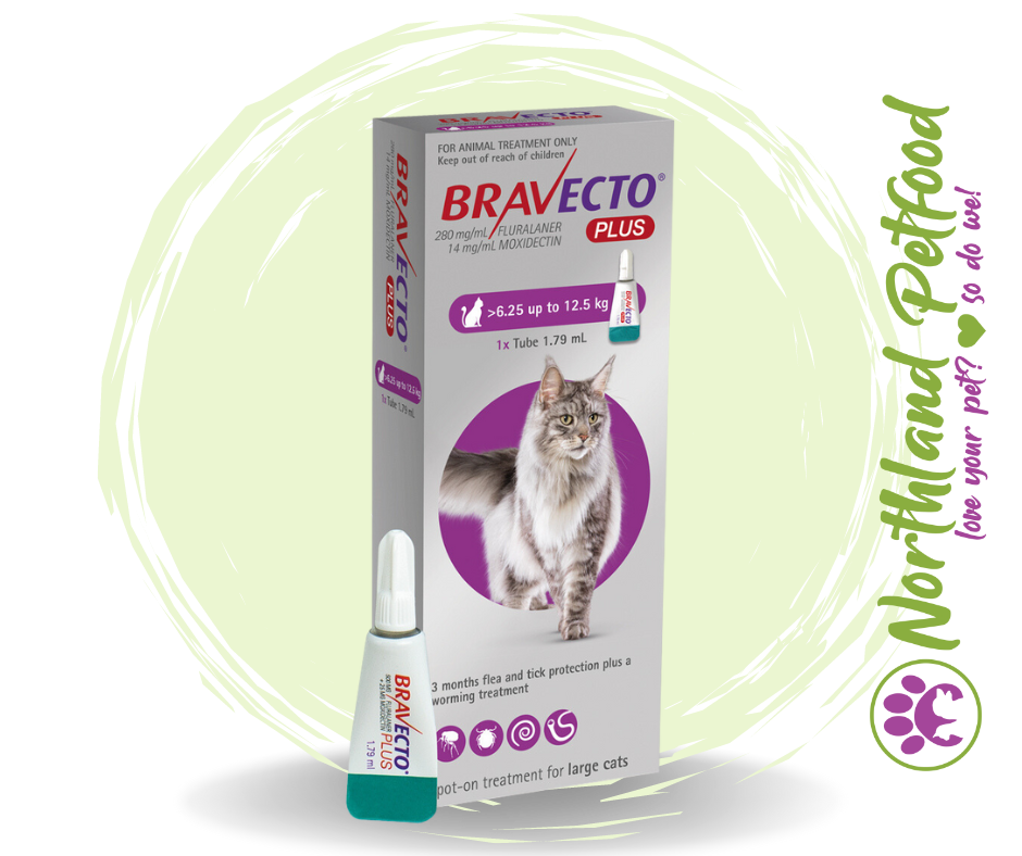 Image of Bravecto PLUS for Large Cats - 6.25kg up to 12.5kg