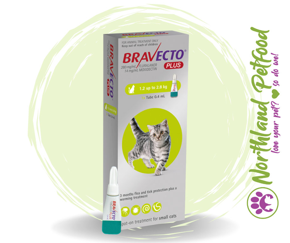 Image of Bravecto PLUS for Small Cats - 1.2kg up to 2.8kg