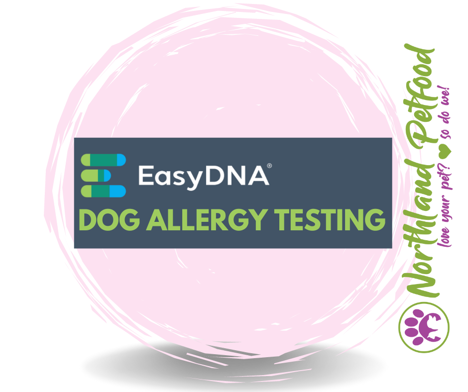 Image of EasyDNA Dog Allergen Test Kit
