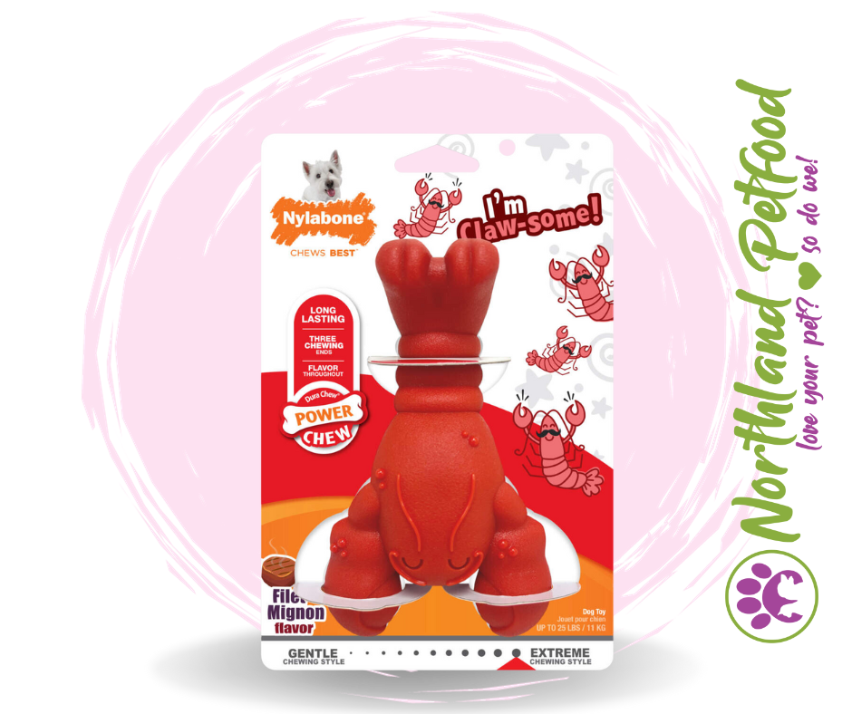 Image of SALE 10% OFF -- Nylabone Power Chew Lobsters