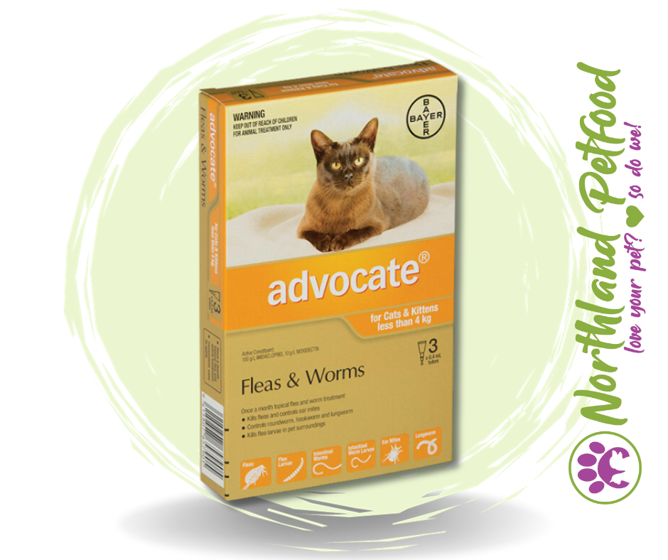 Image of Advocate Small Cats/Kittens less than 4kg Flea and Worm Treatment - 3 Pack