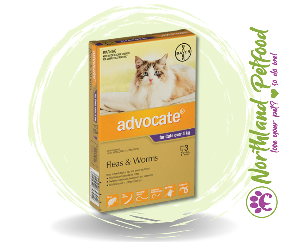 Image of Advocate for Cats over 4kg Flea and Worm Treatment - 3 Pack