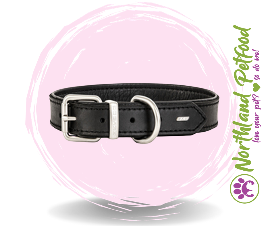 Image of INTRODUCTORY SALE - 20% OFF -- EzyDog Oxford Leather Black Collars