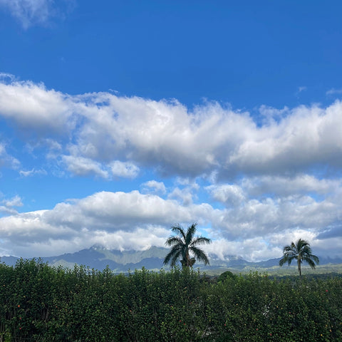 A Clouded View of Kauai's Mount Waialeale from my Brother's Front Deck, Wailua, Kauai, Hawaii (LEO Design)