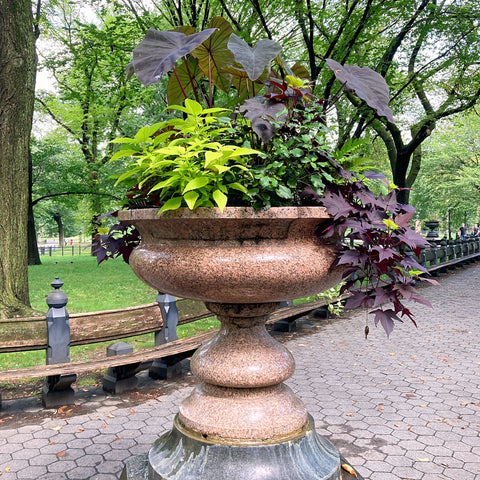 A Planted, Massive Turned Urn of Jonesboro Granite in Central Park, New York City (LEO Design)