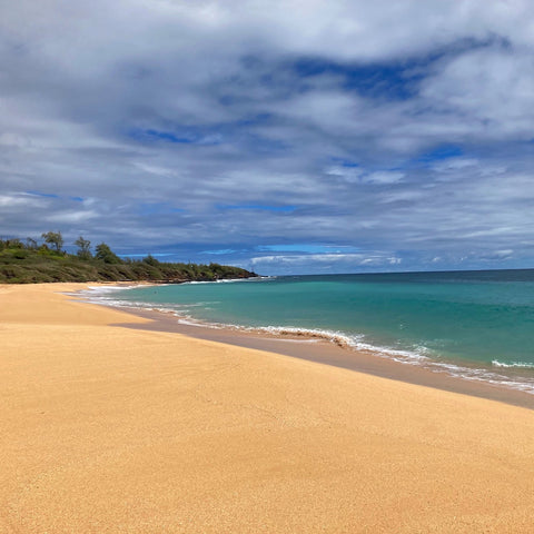 A Beautiful Morning at the Beach, Kauai, Hawaii (LEO Design)