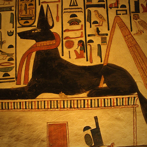 Anubis, God of the Embalming and Funerary Arts, Painted in the Tomb of Queen Nefertari, Valley of the Queens, Luxor, Egypt (LEO Design)