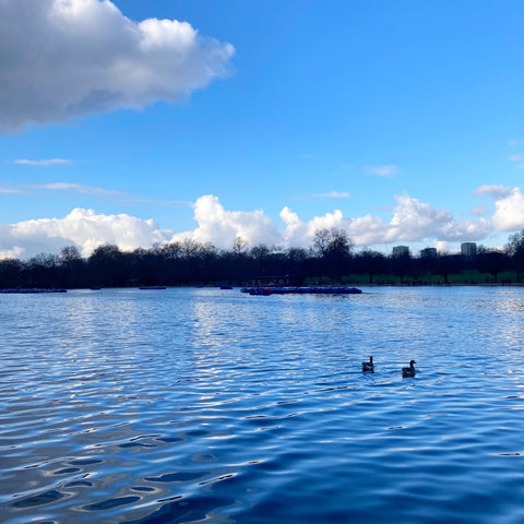 At Swim, Two Birds in the Serpentine Lake in Hyde Park, Westminster, London (LEO Design)