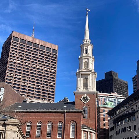 Boston's Skyline, Old and New, from the Boston Common (LEO Design)