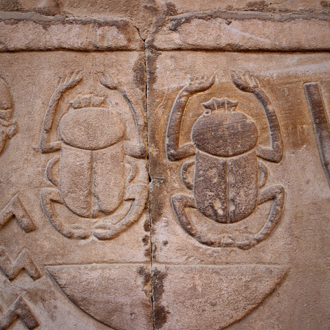 Carved Double Scarab at the Temple of Horus, Edfu, Egypt (LEO Design)