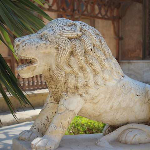 Carved Stone Lion Sculpture on a Fountain in the Citadel Complex, Cairo (LEO Design)