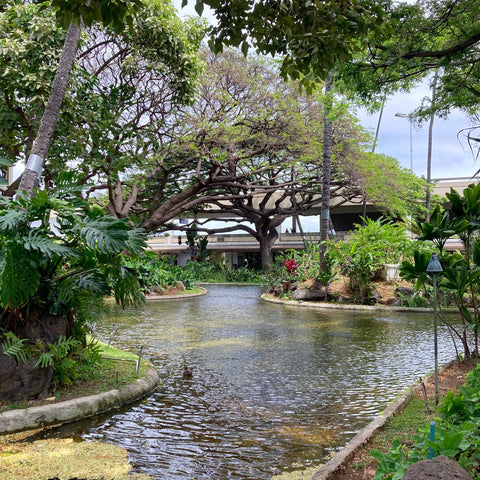 Garden Lagoon at the Honolulu International Airport (LEO Design)