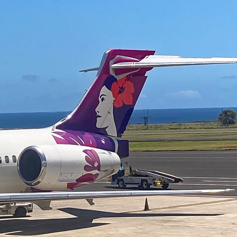 Hawaiian Airlines Jet Awaits: Lihue to Honolulu (LEO Design)