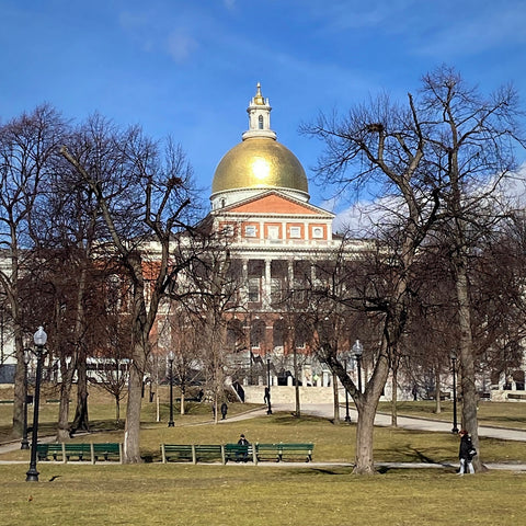 The Massachusetts Statehouse Alongside Boston Common, Boston, Massachusetts (LEO Design)