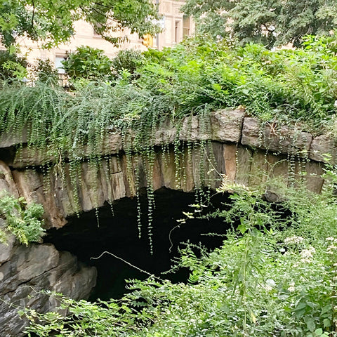 An Over-Grown Under-Pass of Rusticated Stone in Central Park, New York City (LEO Design)
