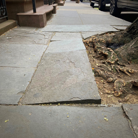 Perpetually Disrupted Paving Stone on a Bank Street Sidewalk, Greenwich Village, New York City (LEO Design)