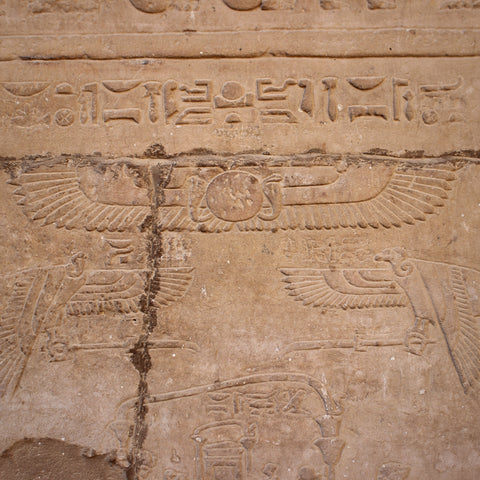 Winged Solar Disk in Bas Relief at the Temple of Horus, Edfu, Egypt (LEO Design)