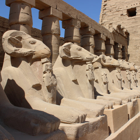 Rows of Sculpted Ram-Sphinxes at the Temple of Karnak, Luxor, Egypt (LEO Design)