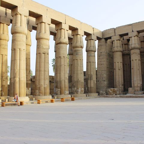 A Forecourt of "Closed-Bud" Lotus Columns in the Temple of Luxor, Egypt (LEO Design)