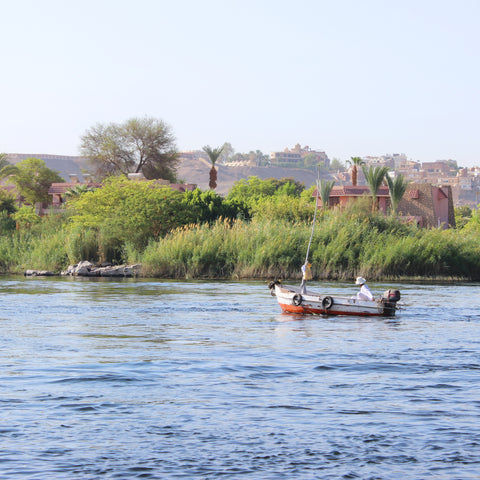 Boating Up the Nile to Visit the Temple of Philae, Aswan, Egypt (LEO Design)