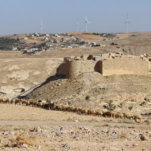 The Medieval Crusader Castle of Mont Real or Shobak Castle, Jordan (LEO Design)