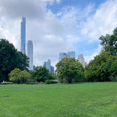Southern View from Within Central Park, New York City (LEO Design)