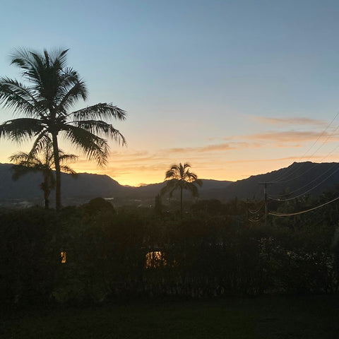 The Twilight View from My Brother's Front Deck, Wailua, Kauai, Hawaii (LEO Design)