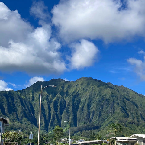 The Koolau Mountain Range from Kaneohe, Oahu, Hawaii (LEO Design)