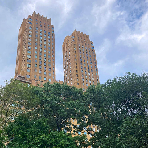 The Majestic Art Deco Apartment Building on Central Park West as Viewed from the Park (LEO Design)