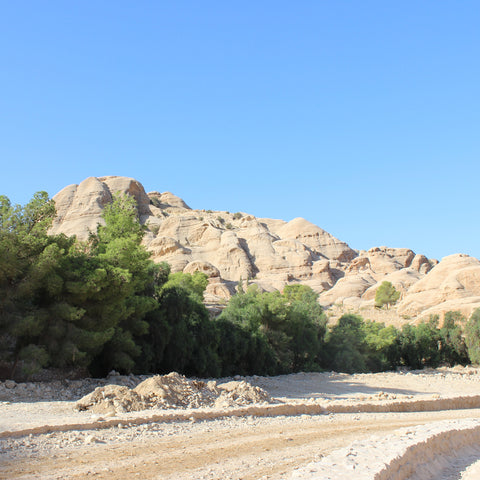 The Approach to Petra Through the Dramatic Sandstone Rockscape (LEO Design)