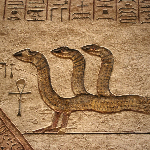 Three Headed Snake with Four Feet in the Tomb of Rameses III, Valley of the Kings, Luxor, Egypt (LEO Design)